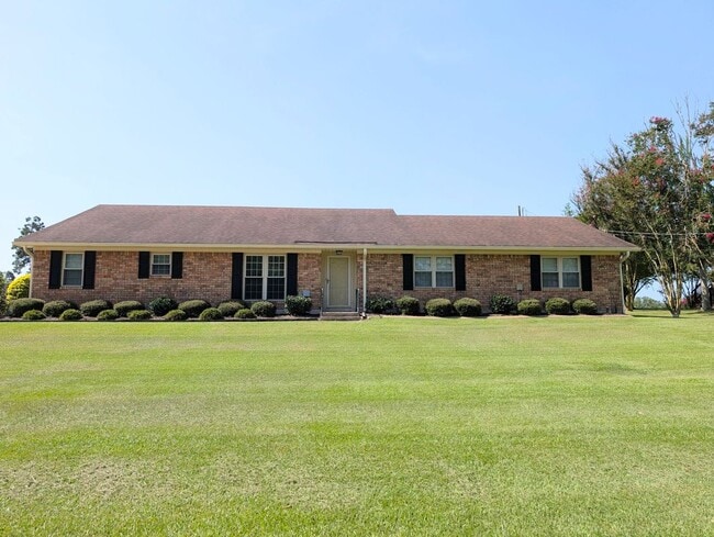 Photo - 516 Pine Hills Dr
