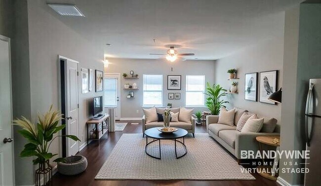 Photo - 1930 Old Dogwood