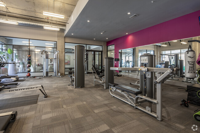 Gimnasio - The Avenue