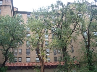 Ángulo alternativo del edificio - Albert Pike Apartments