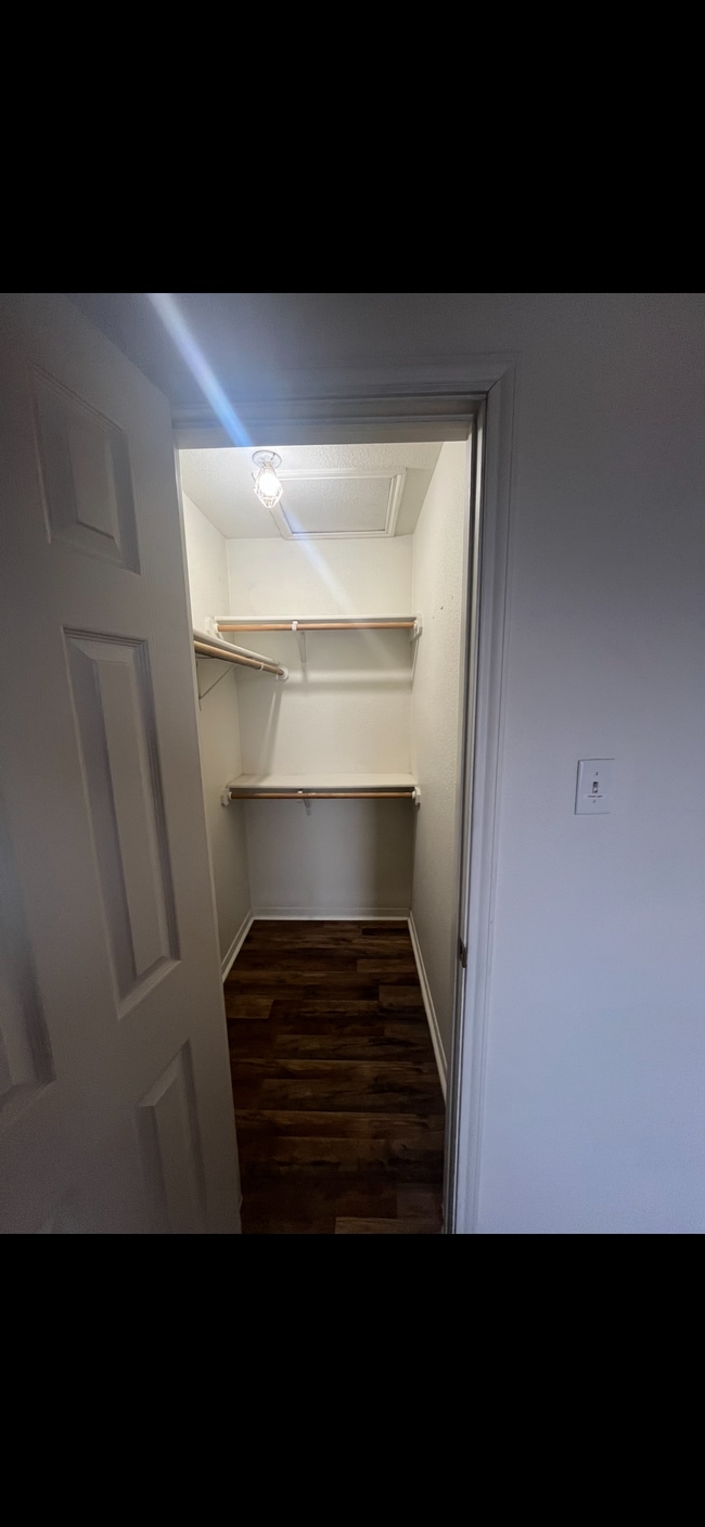 Photo - 3807 Littleleaf Ct