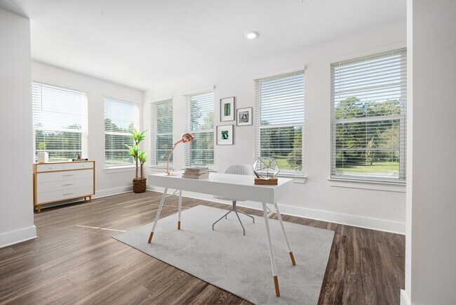 Photo - Wentworth Park