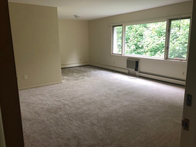 Photo - 307 Vivian St