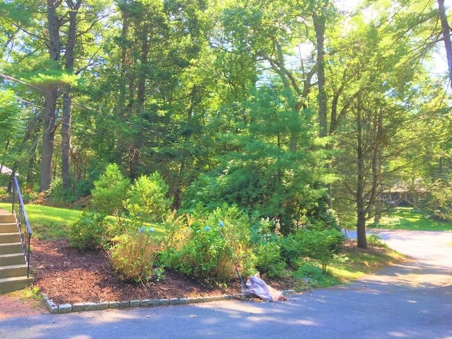 Photo - 53 Deerhaven Rd