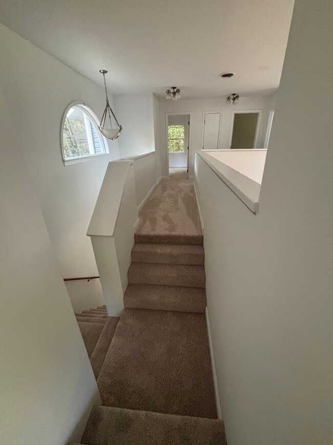 Photo - 14300 Woods Walk Ln