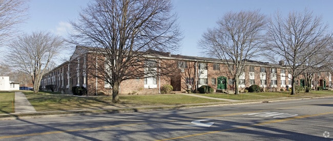 Photo - Forest Green