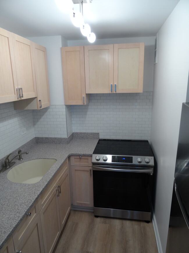 kitchen - 21 W Goethe St Condo Unit 4C