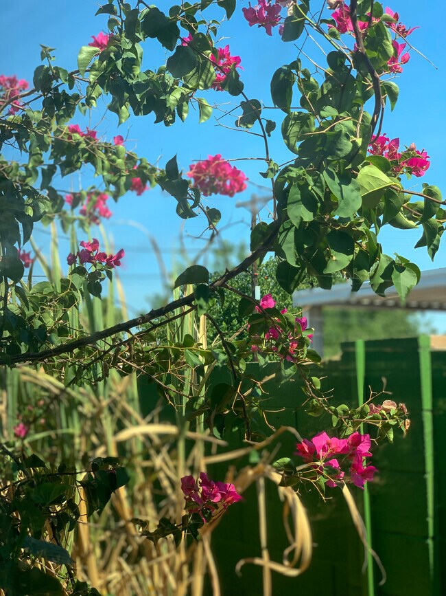 View from the smallest bedroom - 5551 N 12th Ave