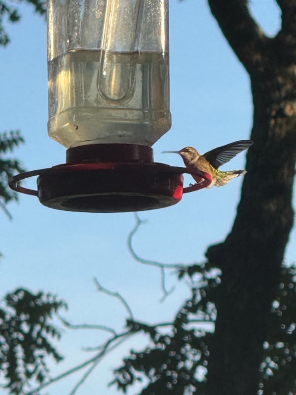 Building Photo - 2026 W 9th Ave