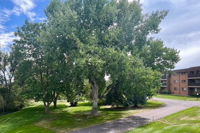 Grounds