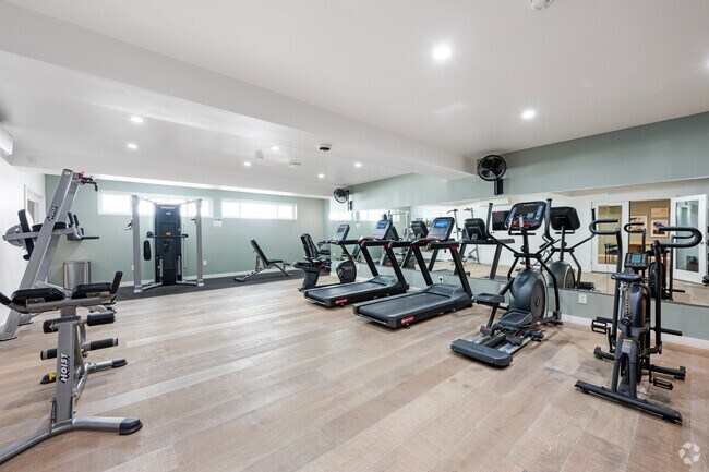 Gimnasio