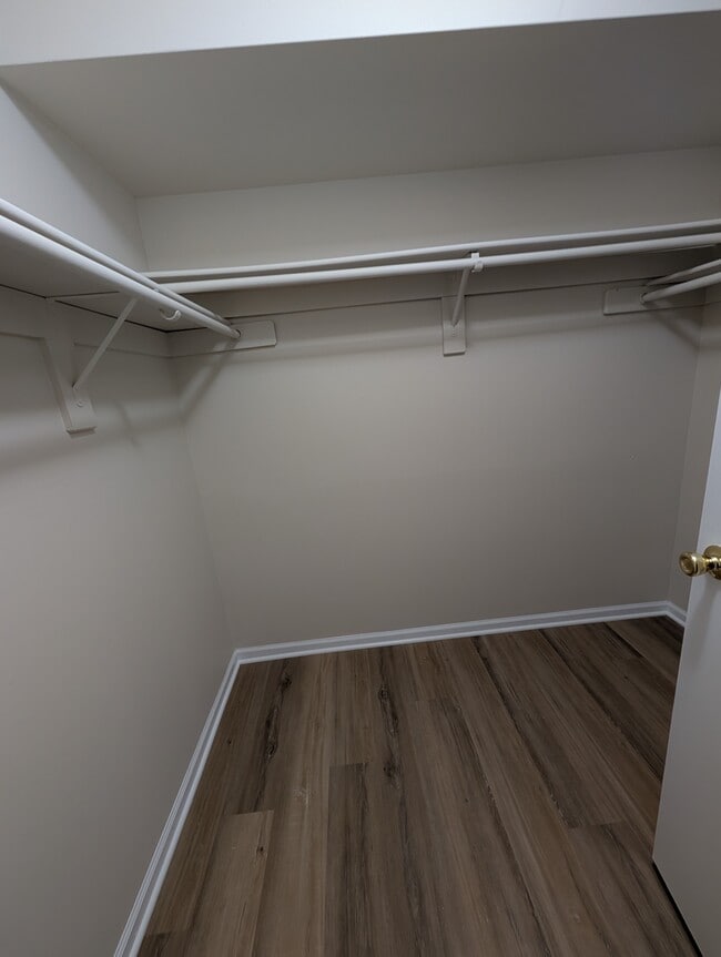 Walk in closet in bedroom