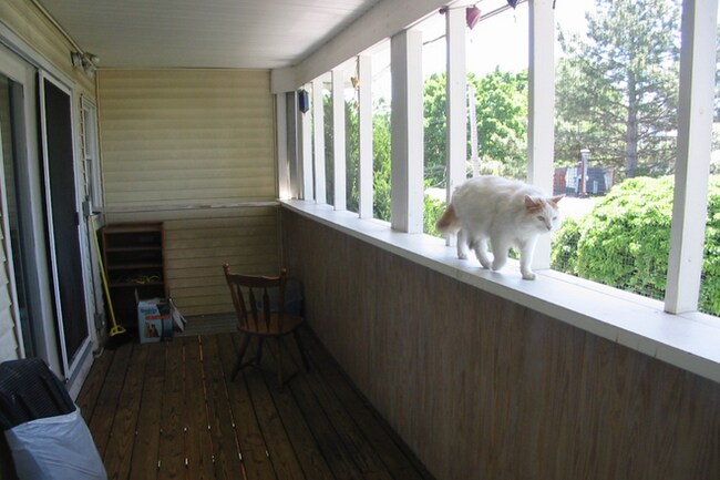 Photo - 2.0 bedroom in Somerville Massachusetts 02143 Unit U2