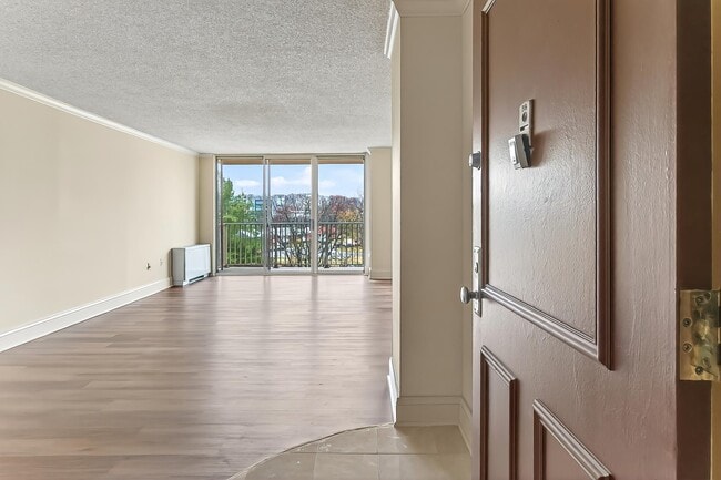 Photo - Martha Custis 319_