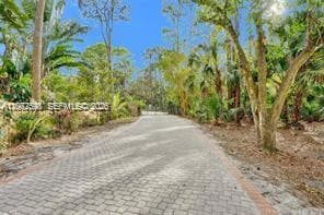 Photo - 13161 179th Ct N