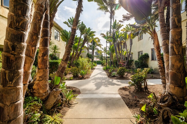 Patio - 421 San Vicente Apartments