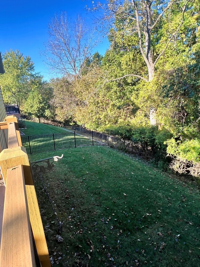 Photo - 16553 Branchwood Dr