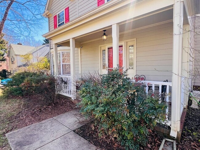 Photo - 1883 Steeplechase Run