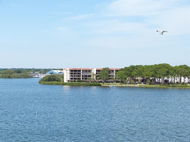 Photo - 2700 Bayshore Blvd Unit 11-306