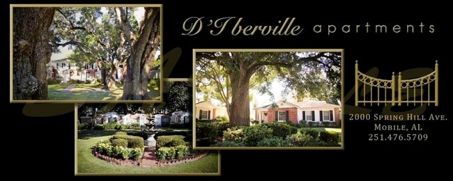 D'iberville Apartments