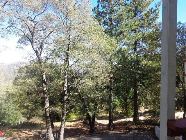 Photo - 24071 Fern Glen Rd