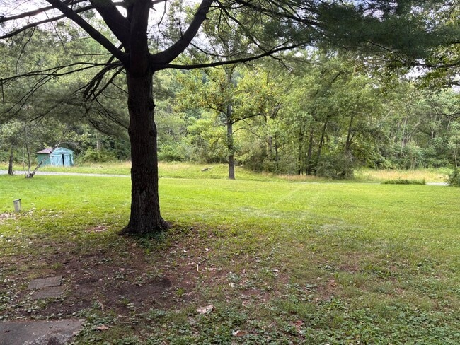 Photo - Private Country Cabin for Rent