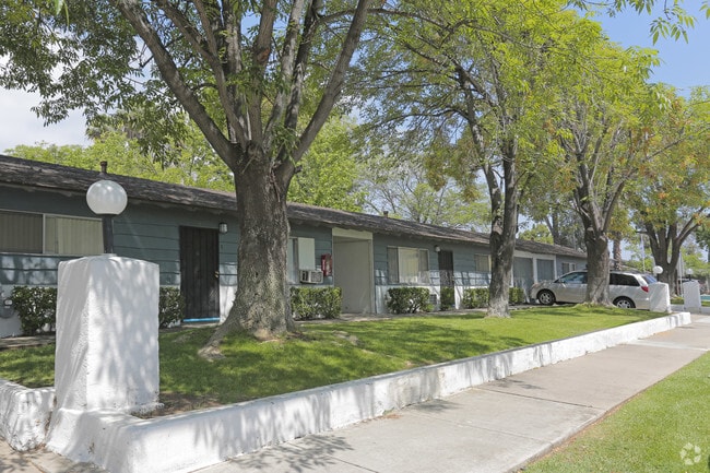 Photo - Terre at S Anza