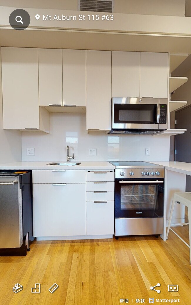Photo - 119 Mount Auburn St Unit 63