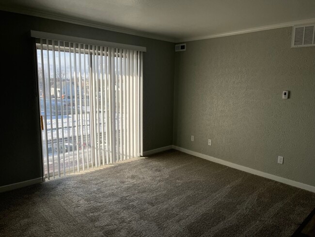 Photo - 505 Clough St