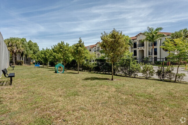 Dog Park