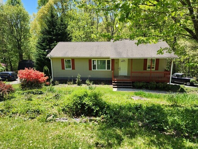 Mills River Rental! - Mills River Rental!