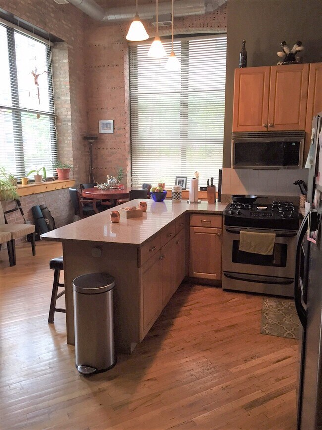Photo - 1439 S Michigan Ave Condo Unit 105