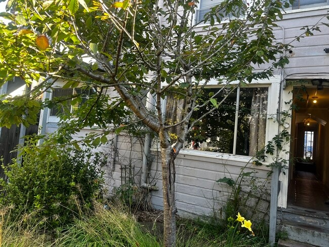 Photo - 1457 11th Ave Unidad Wine Lovers Garden Retrea