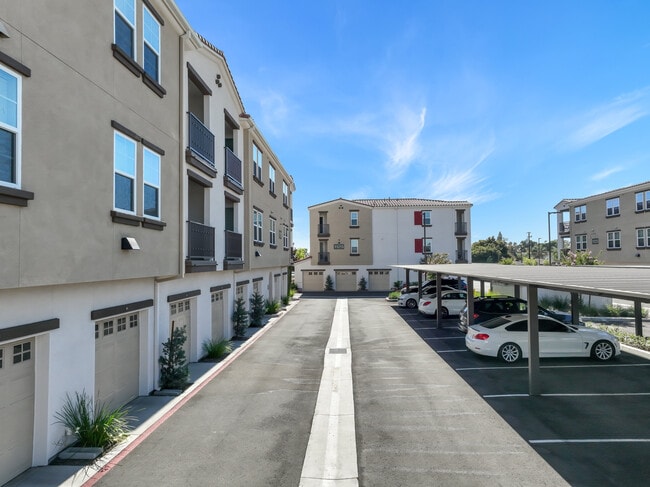 Alivia Apartments