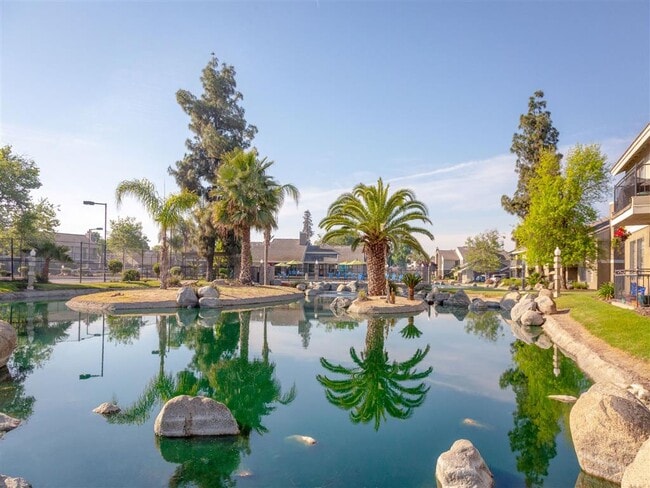 Pond Surrounded by Natural View