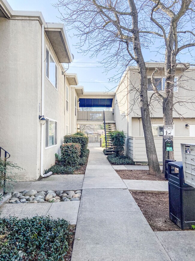 Photo - Villa Serrano