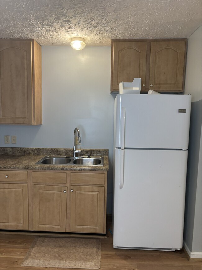 Kitchen - 155 Old Glenwood Springs Rd Unit 301