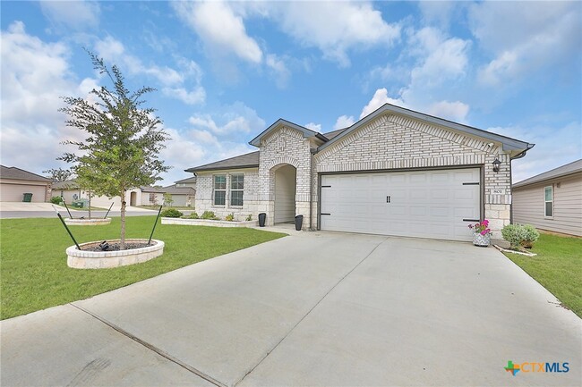 Photo - 801 Cinnamon Teal