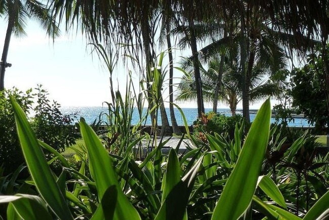 Building Photo - 75-5776-5776 Kuakini Hwy Unit 119 Rental