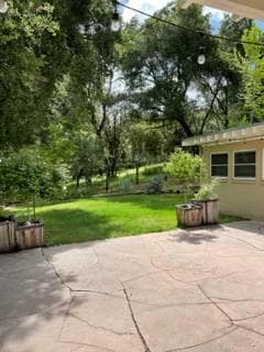 Building Photo - 1449 Portola Rd Rental