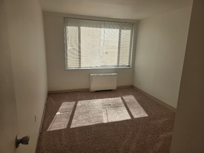 Photo - Robin Towers