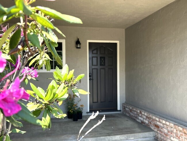 Building Photo - Terra Linda Home