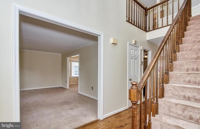 Photo - 2205 Cedar Mill Ct