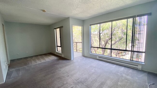 Photo - Top-floor Studio at Watergate Unit 491