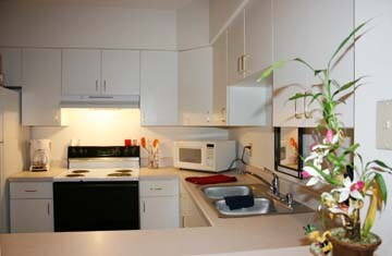 Photo - 2202 Luann Place