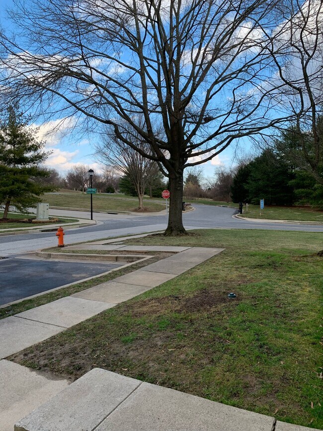 8510 London Bridge Way Townhome Townhome Rental in Timonium MD