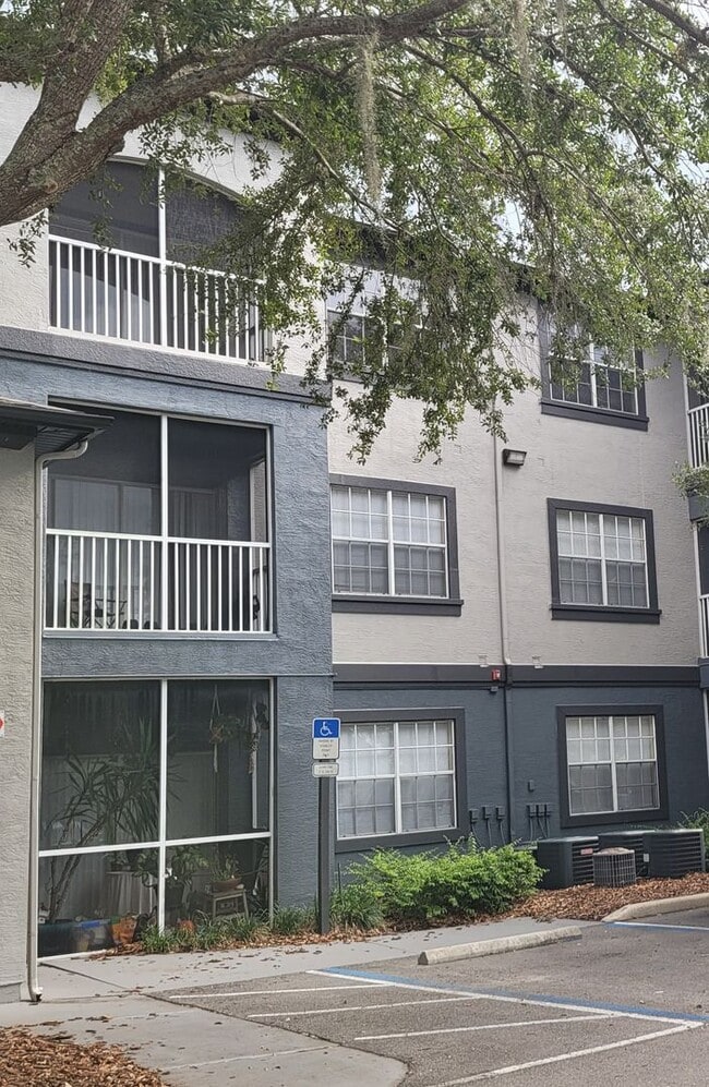 Building Photo - Holiday Special $500 off first full months rent-The Preserve at Temple Terrace