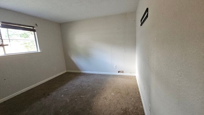 Photo - 8710 Parkway Forest Dr