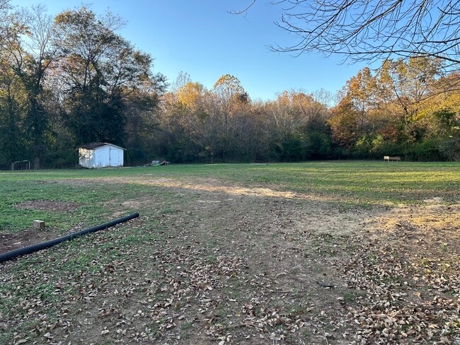 Yard - 89 County Rd 206 Unit A