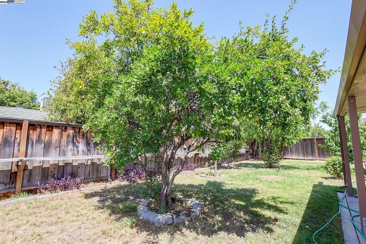 Photo - 850 Tanager Rd